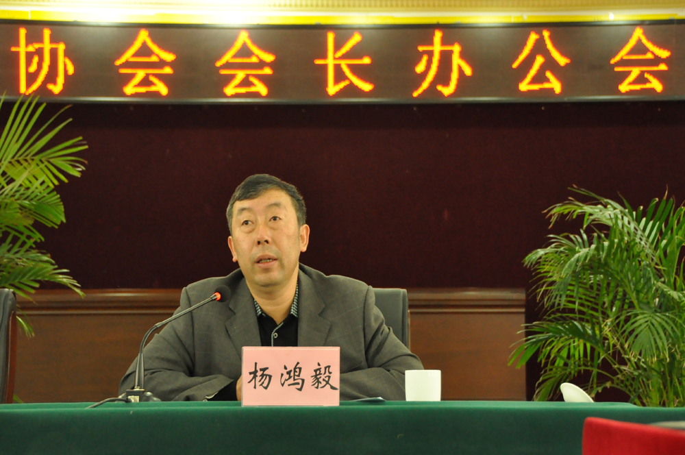 杨鸿毅秘书长总结2012年度工作对2013年工作进行安排